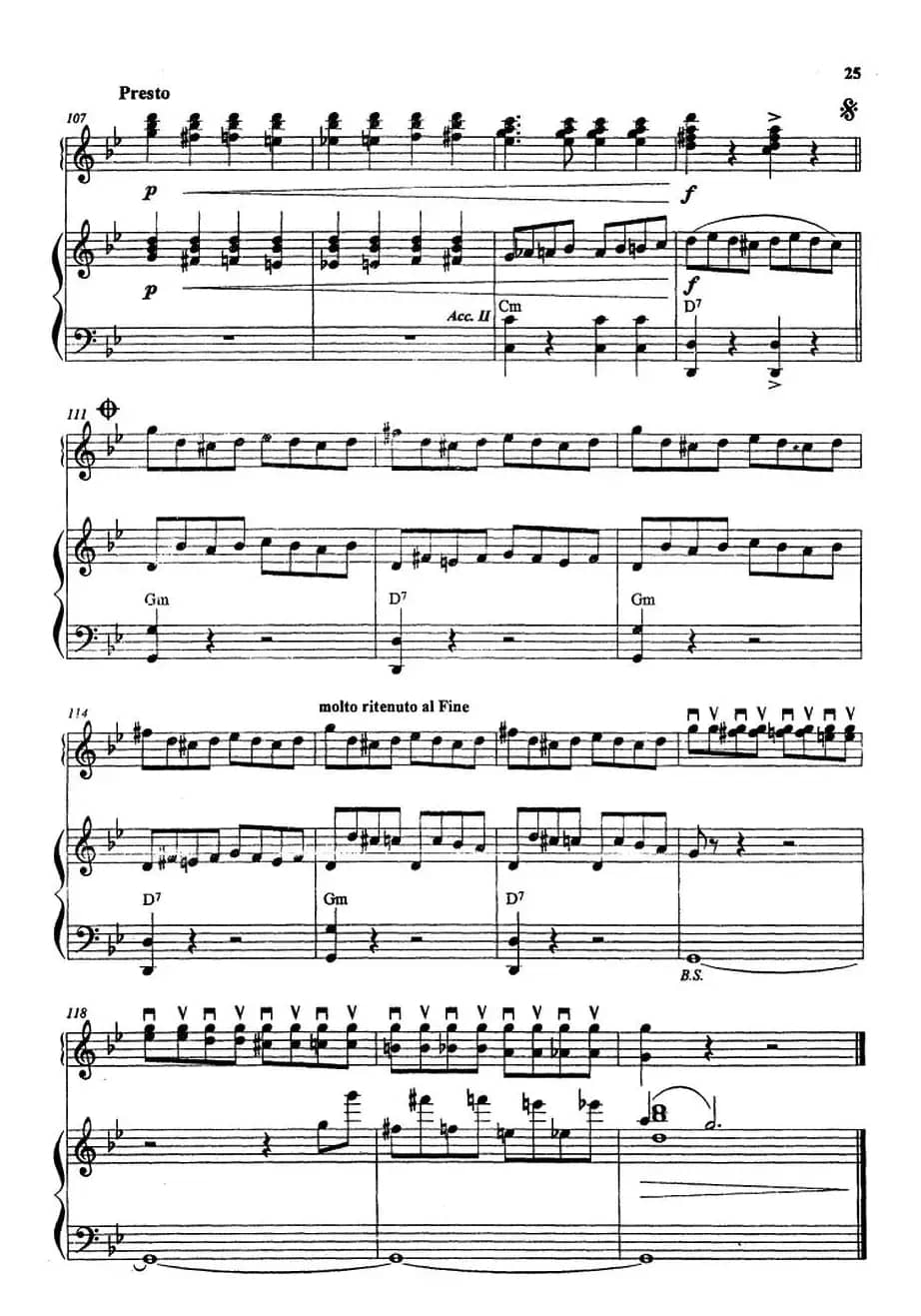 旋转木马（二重奏）