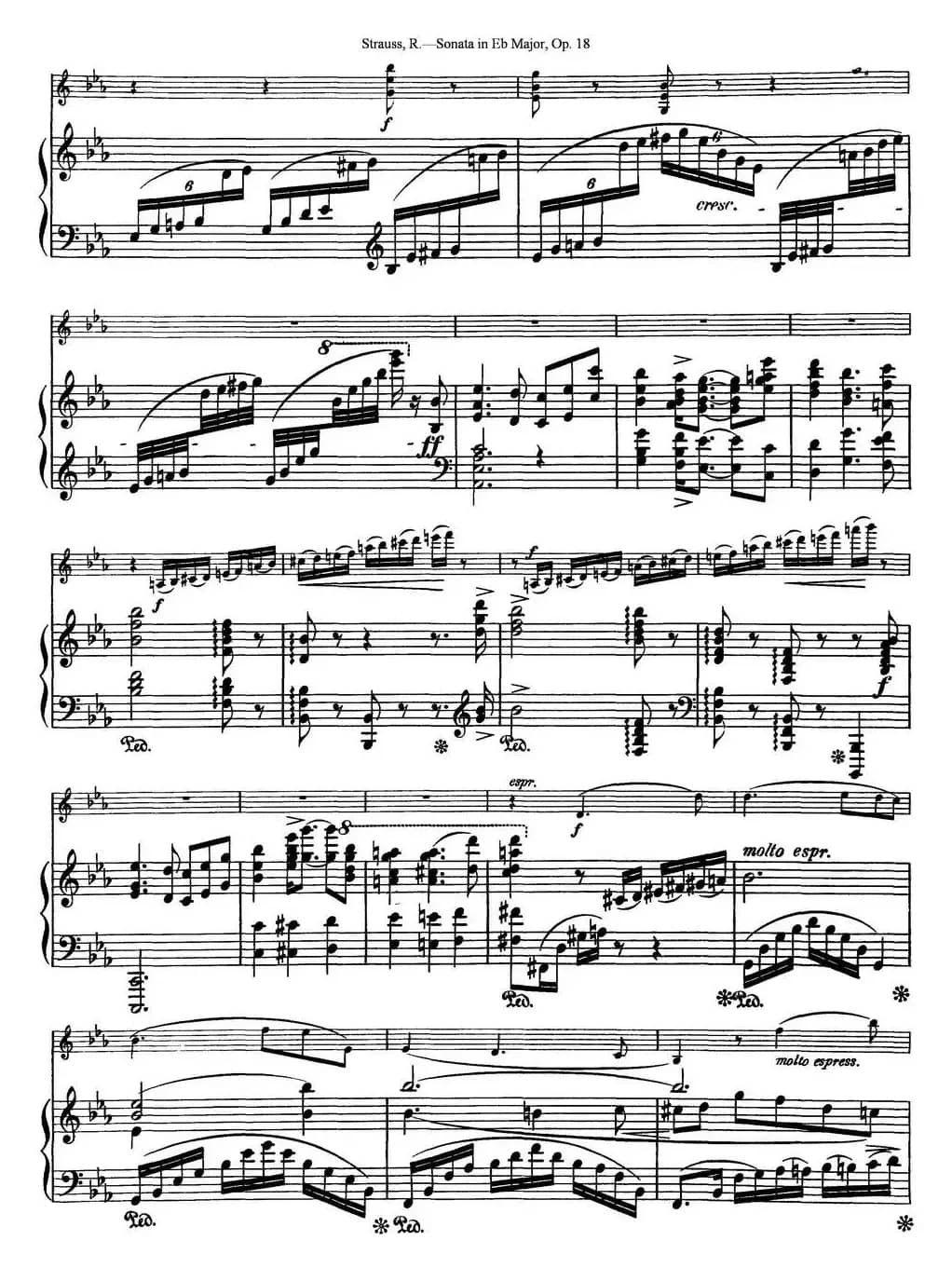 Violin Sonata in Eb Major Op.18（小提琴+钢琴伴奏）