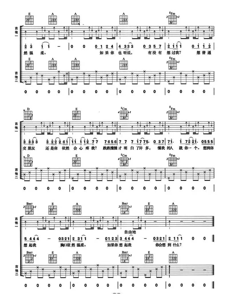 如果你也听说（双吉他）