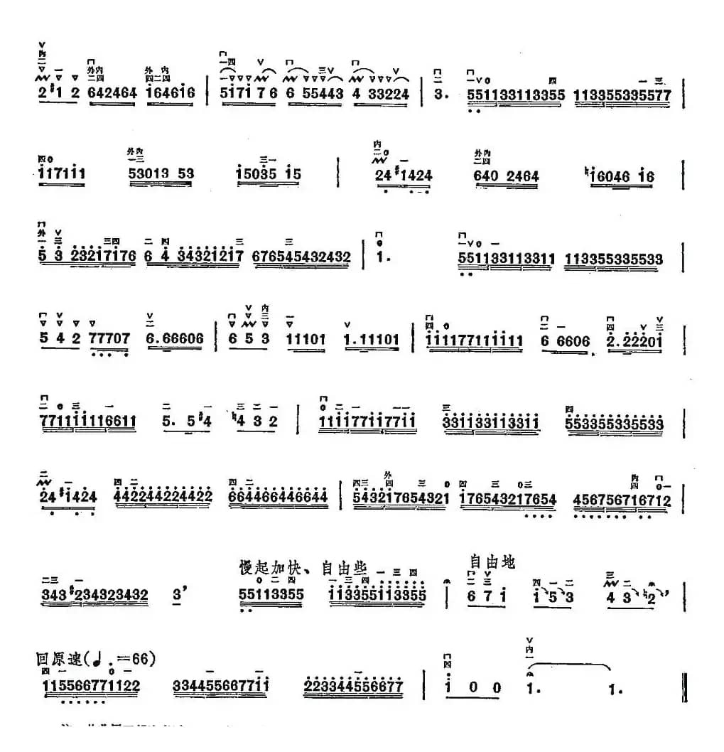 美丽的梦中人（高胡独奏）