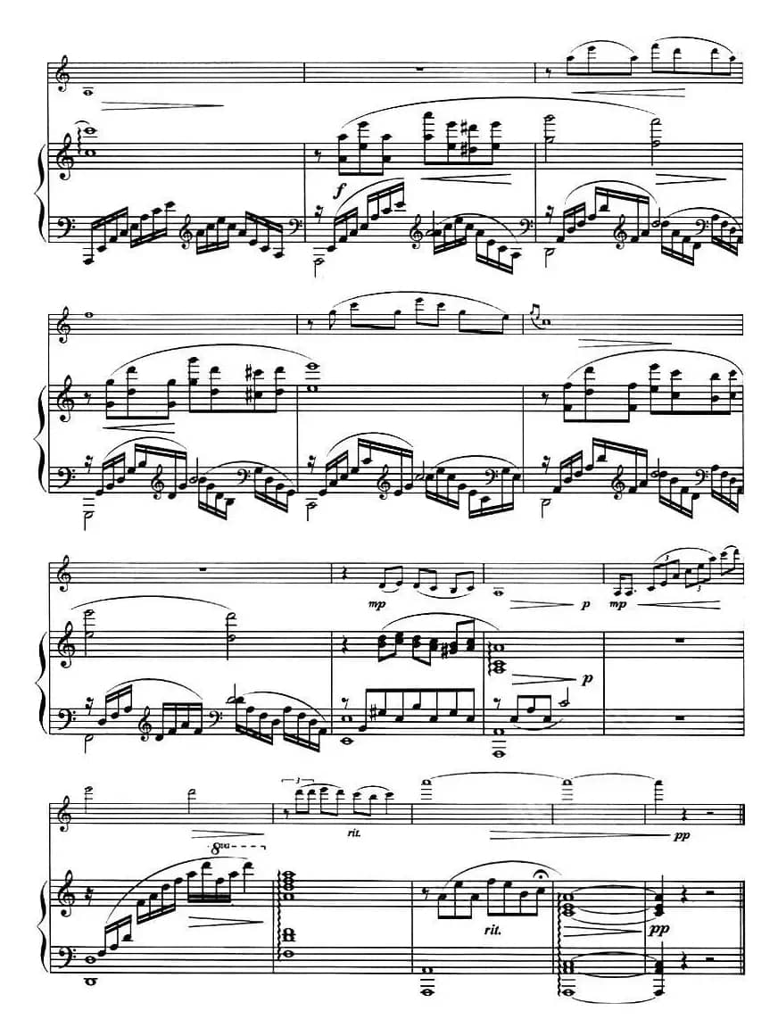 神秘园——二重奏（DUO、小提琴+钢琴伴奏）