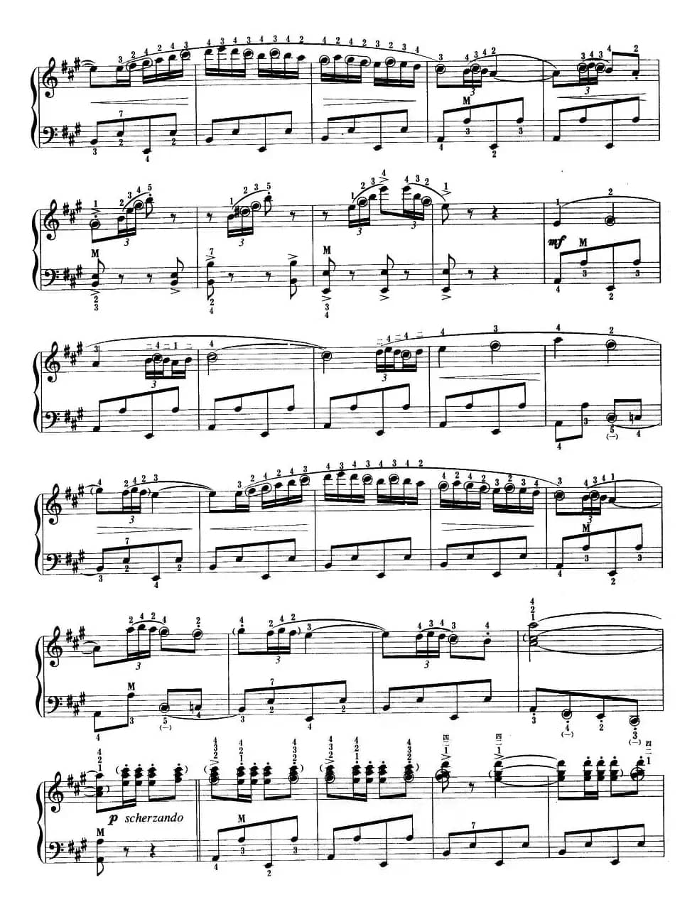 快乐的西班牙骑士