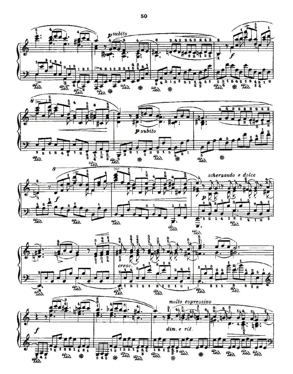 肖邦《练习曲》Fr.Chopin Op.10 No5-3
