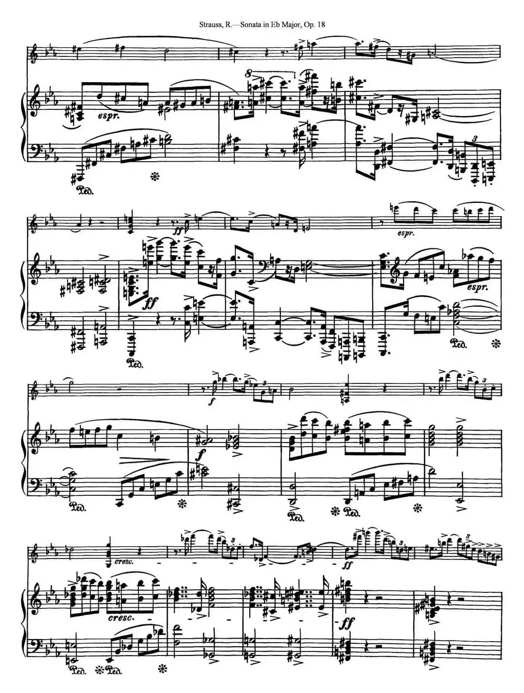 Violin Sonata in Eb Major Op.18（小提琴+钢琴伴奏）