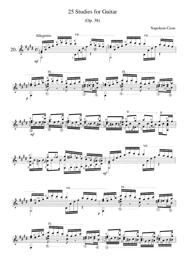 Napoleon Coste《25 Studies,Op.38》（STUDY 20）