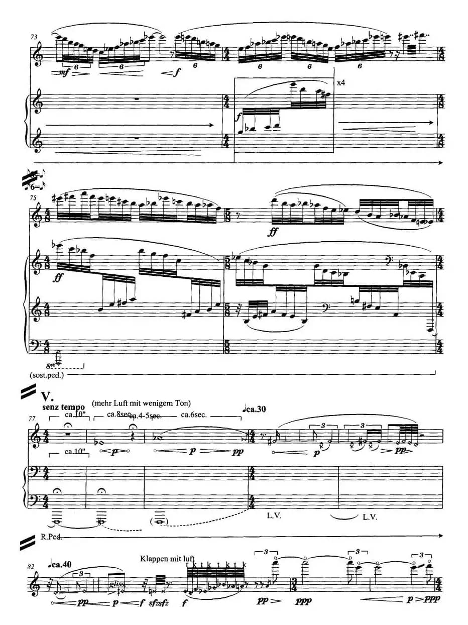 翔舞于无极之野（竹笛+钢琴）