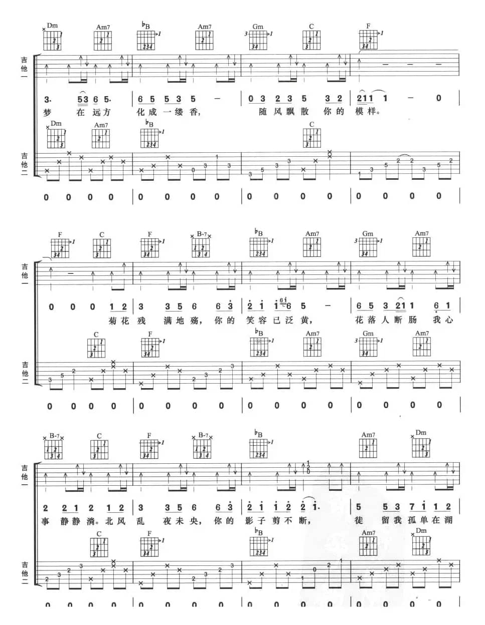 菊花台（双吉他）