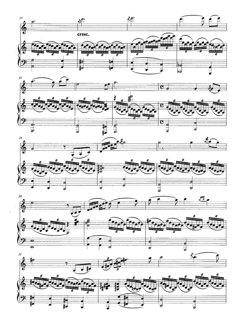 雁（小提琴+钢琴）