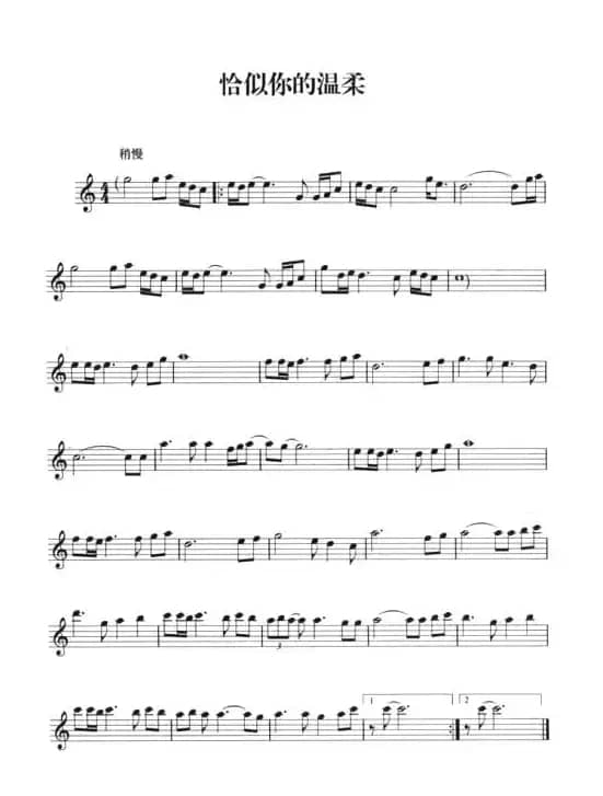 恰似你的温柔