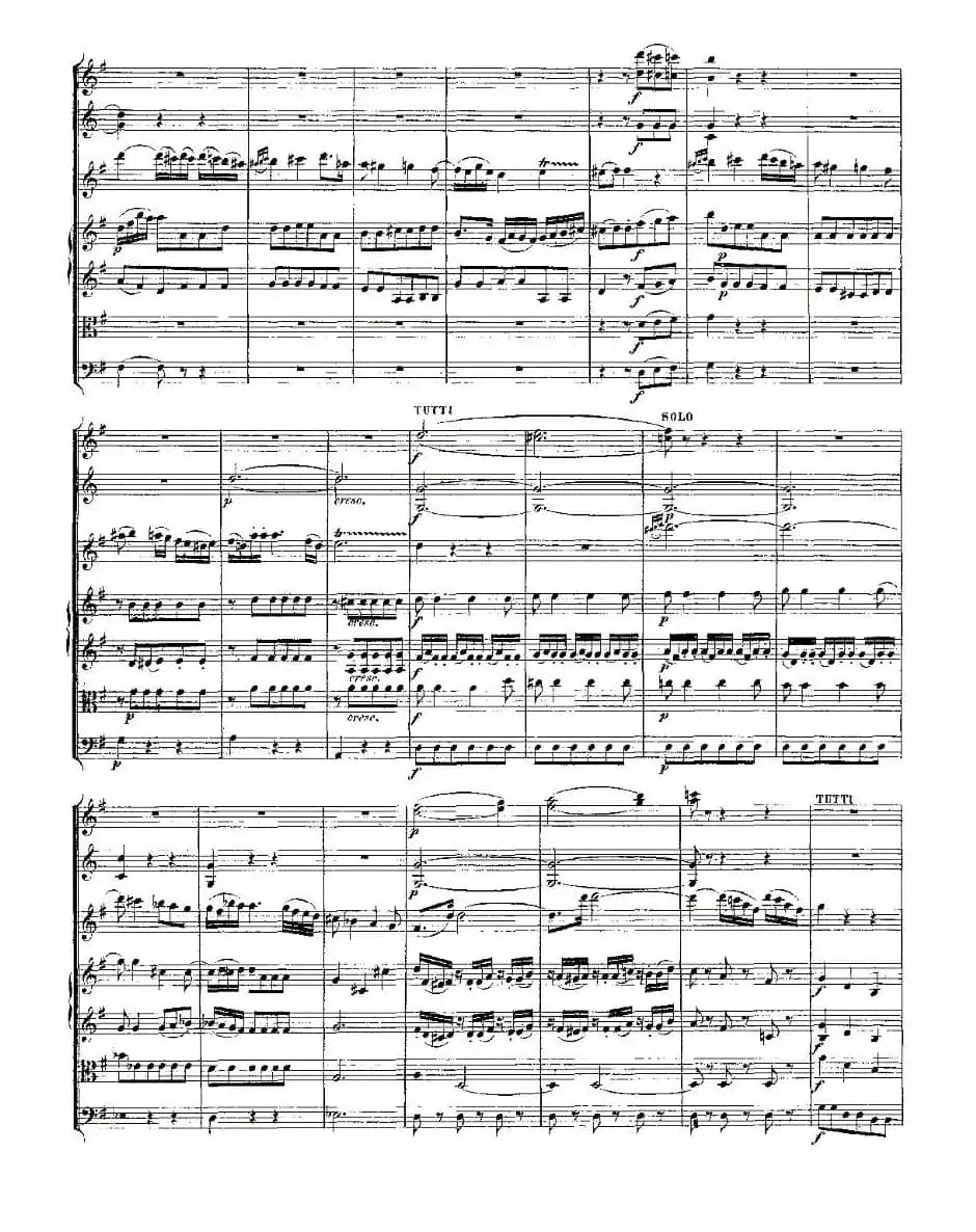 Concerto in D for Flute, K.314（D大调长笛协奏曲）