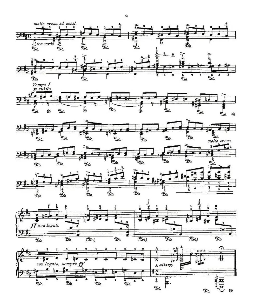 肖邦《练习曲》Fr.Chopin Op.25 No10