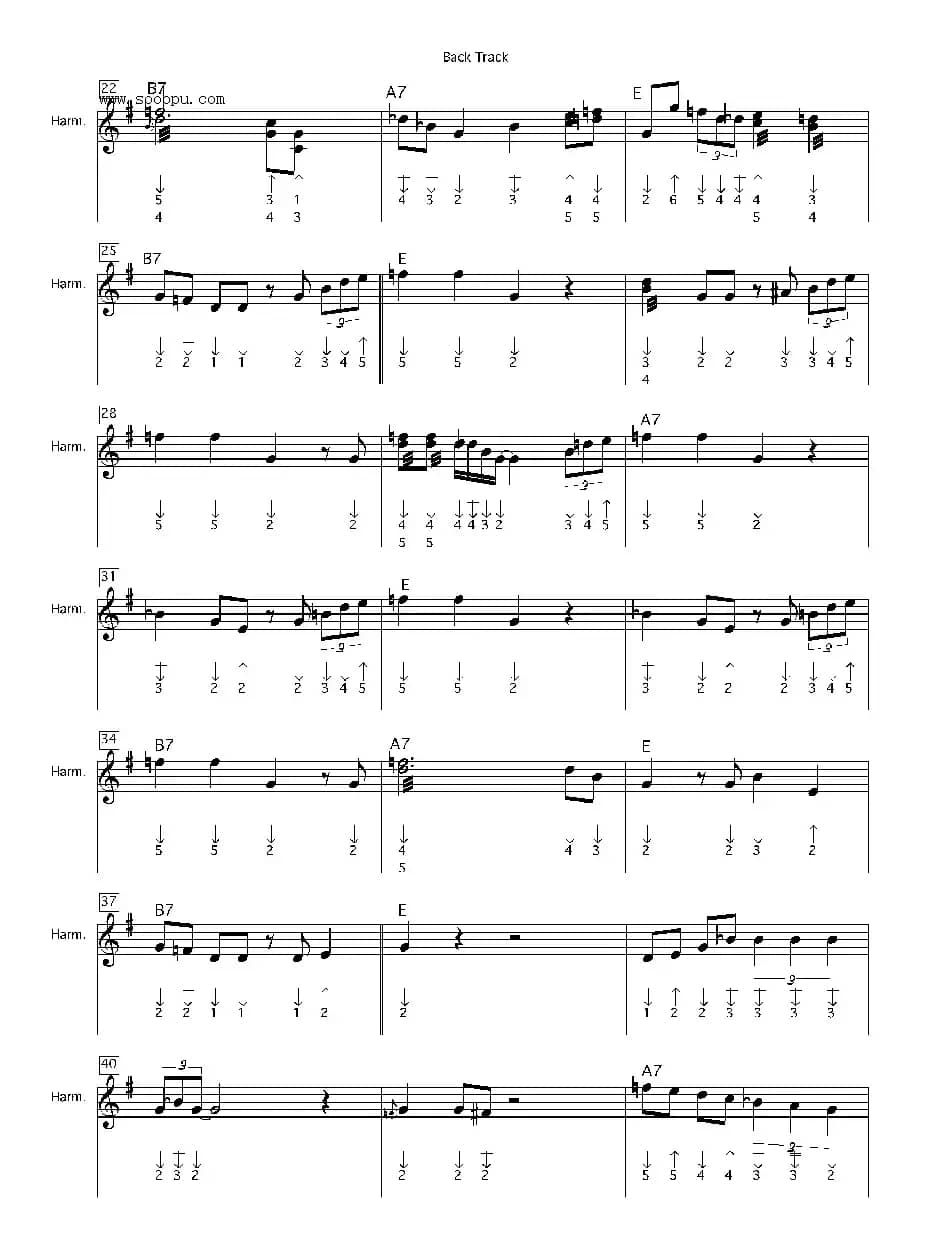 back track（布鲁斯）