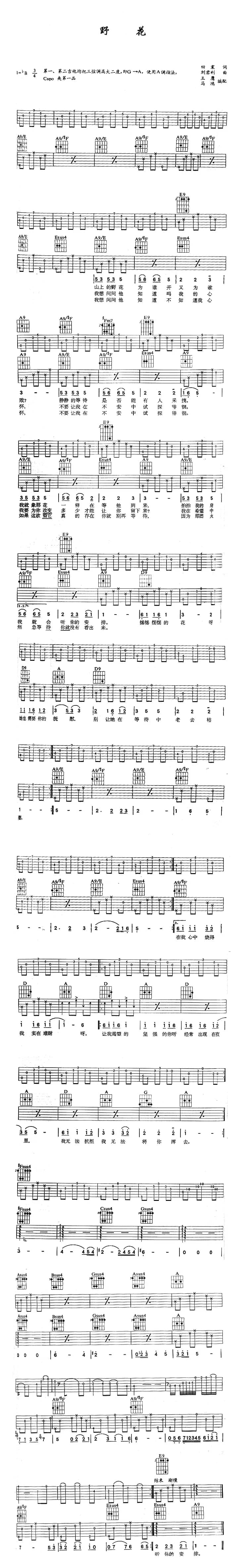 野花（田震词 刘利君曲、王鹰 马鸿编配版）
