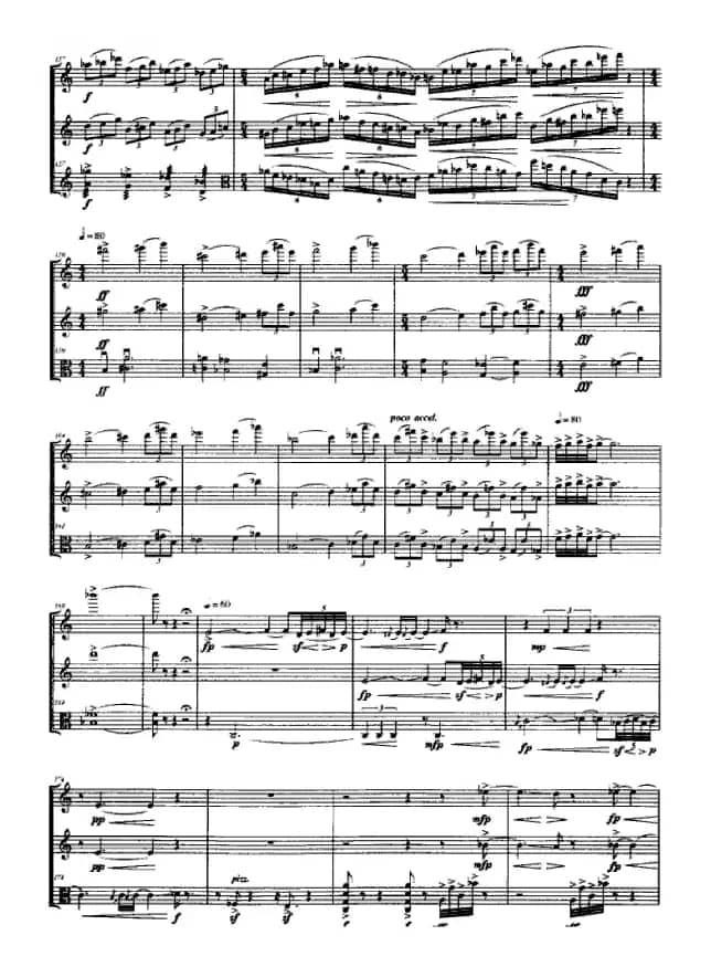 合（长笛+单簧管+中提琴）