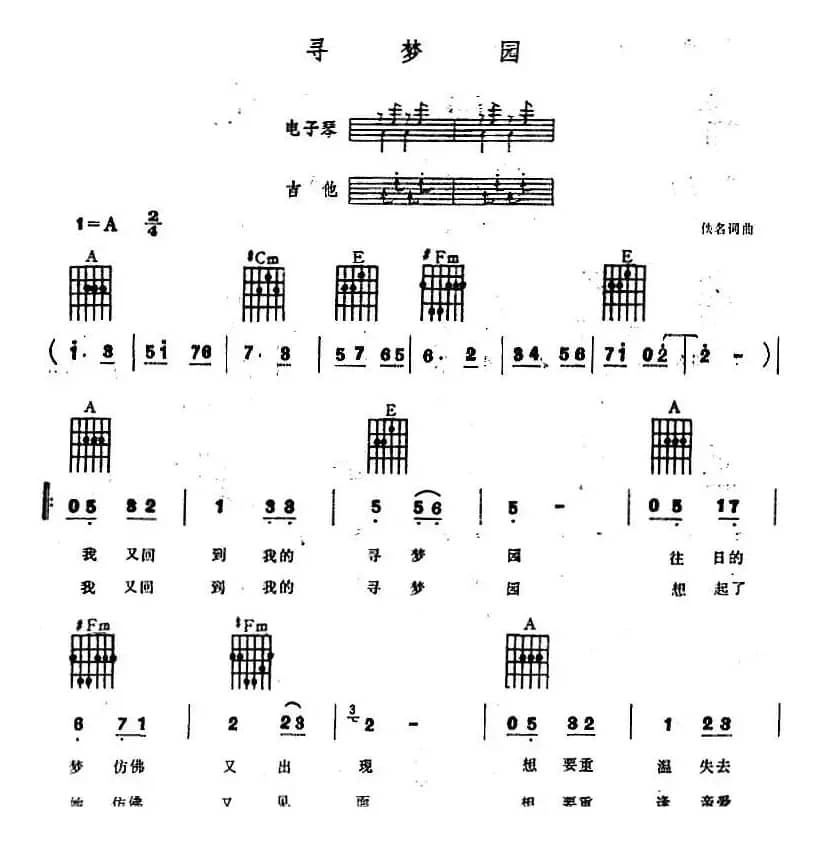寻梦园（电子琴吉他弹唱）