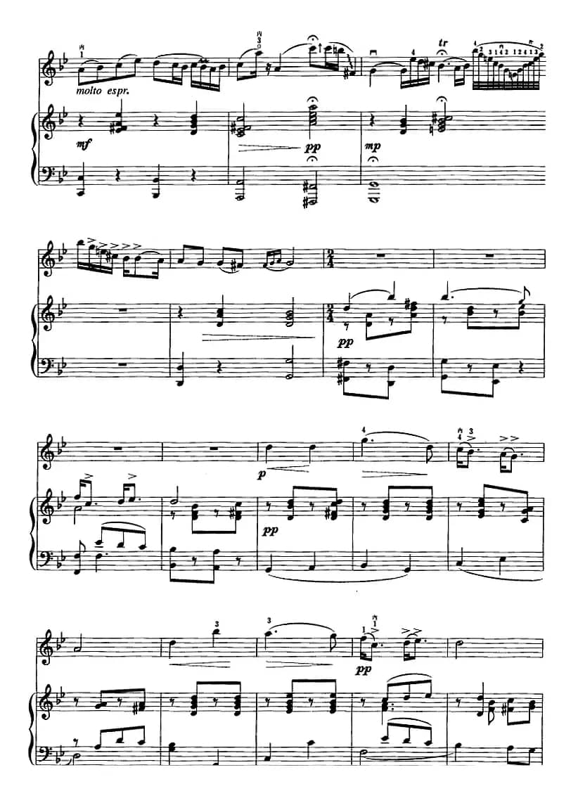 流浪者之歌（二胡+钢琴伴奏）