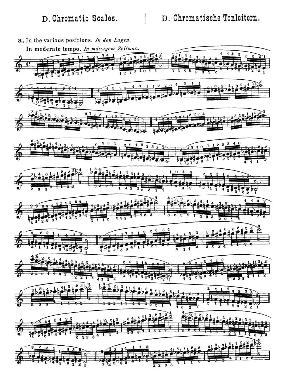 小提琴音阶练习·作品32（Scale Studie-D）