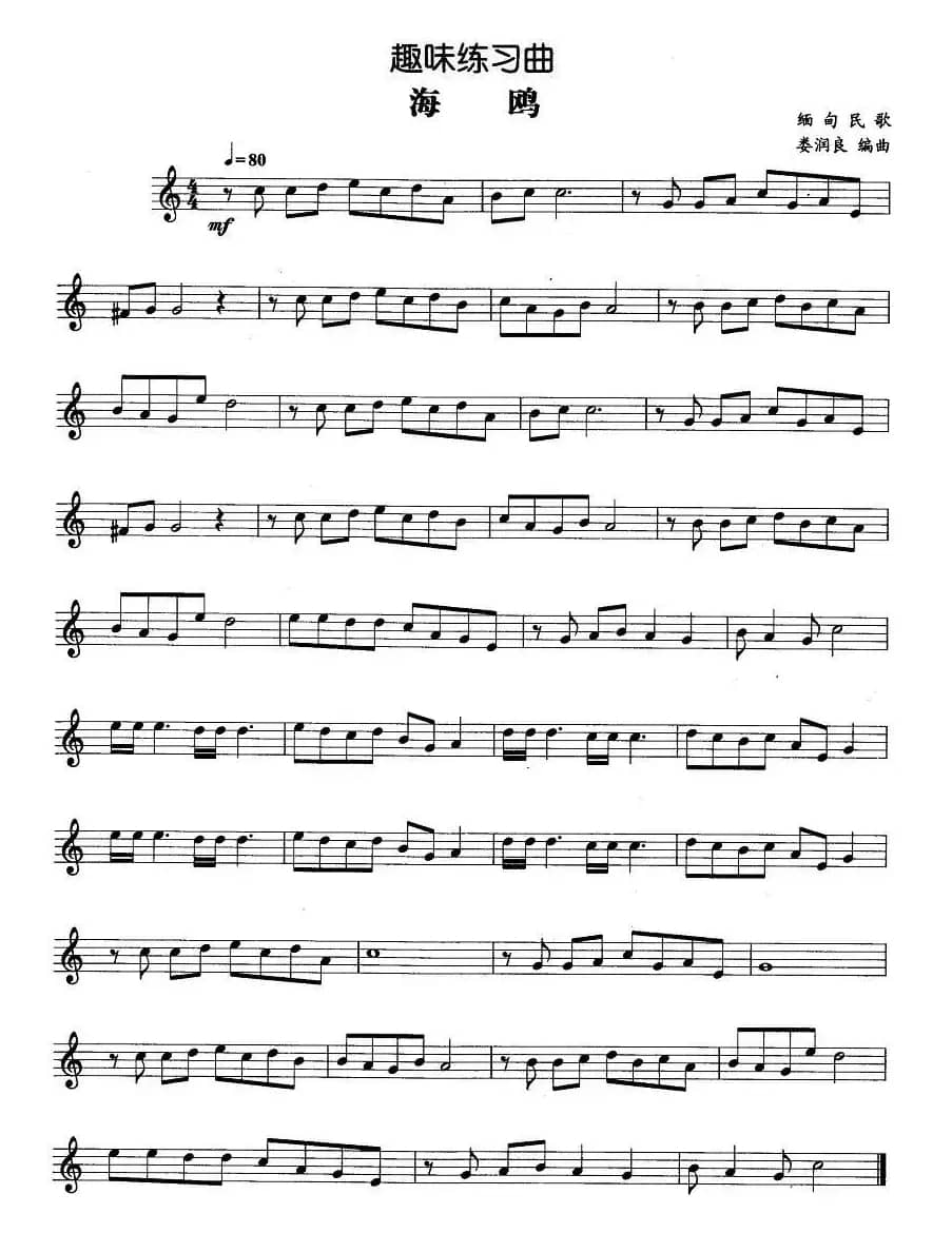 趣味练习曲：海鸥