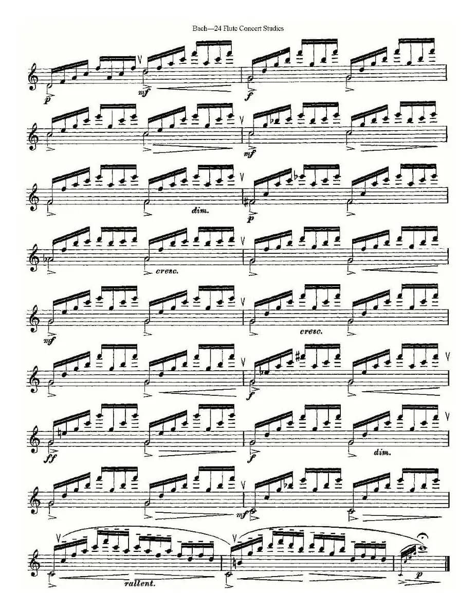Bach-24 Flutc Concert Studies 之6—10（巴赫—24首长笛音乐会练习曲）