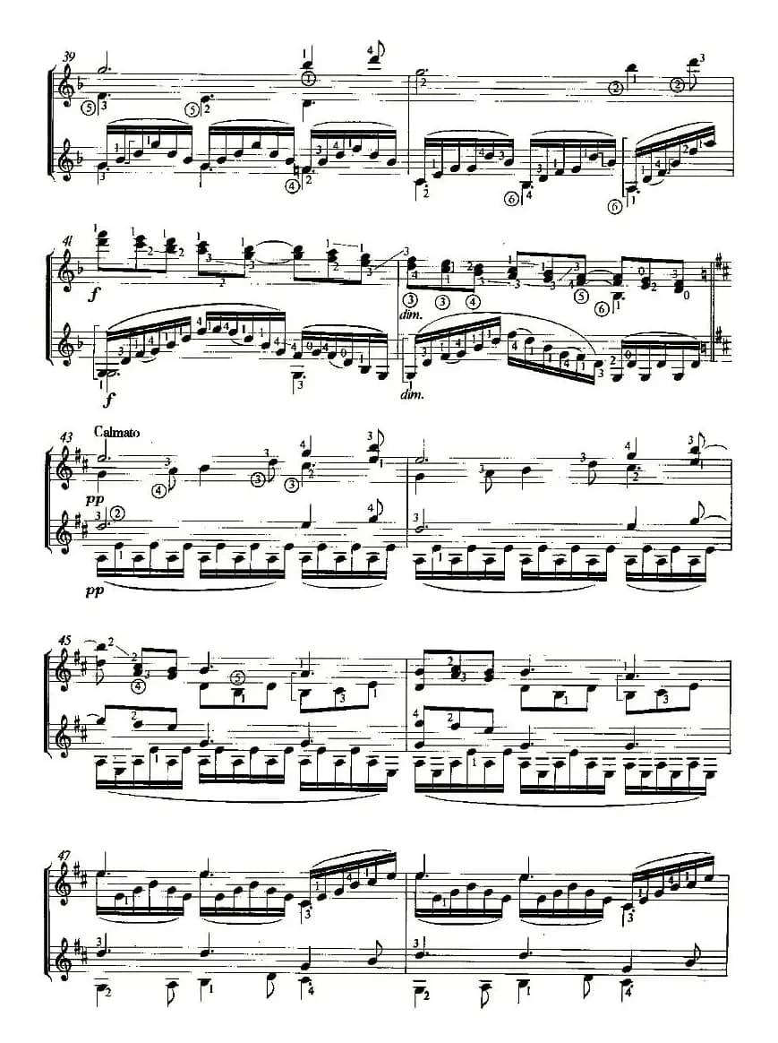 CLAIR DE LUNE（双吉他）