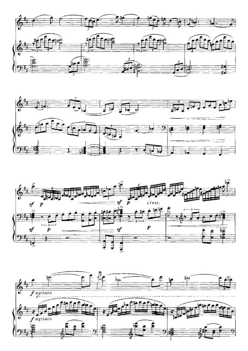 潇湘音诗（小提琴+钢琴伴奏）