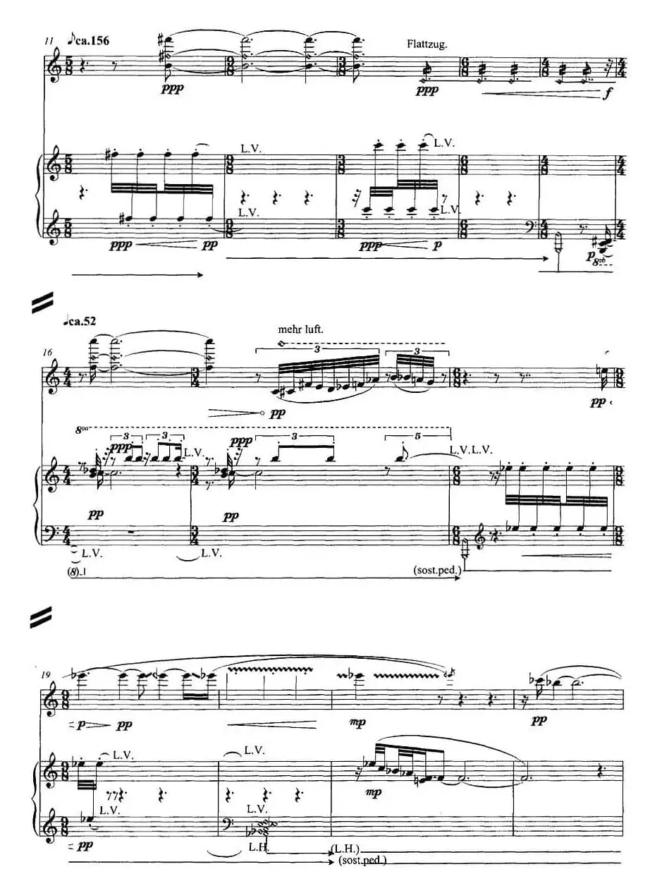 翔舞于无极之野（竹笛+钢琴）