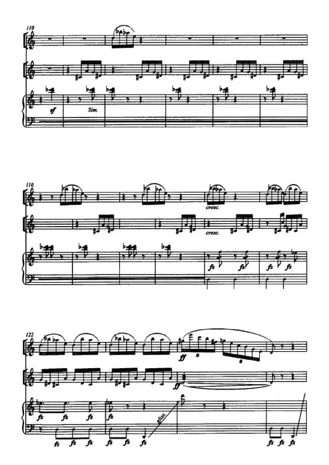 国风（箫、二胡、筝三重奏）