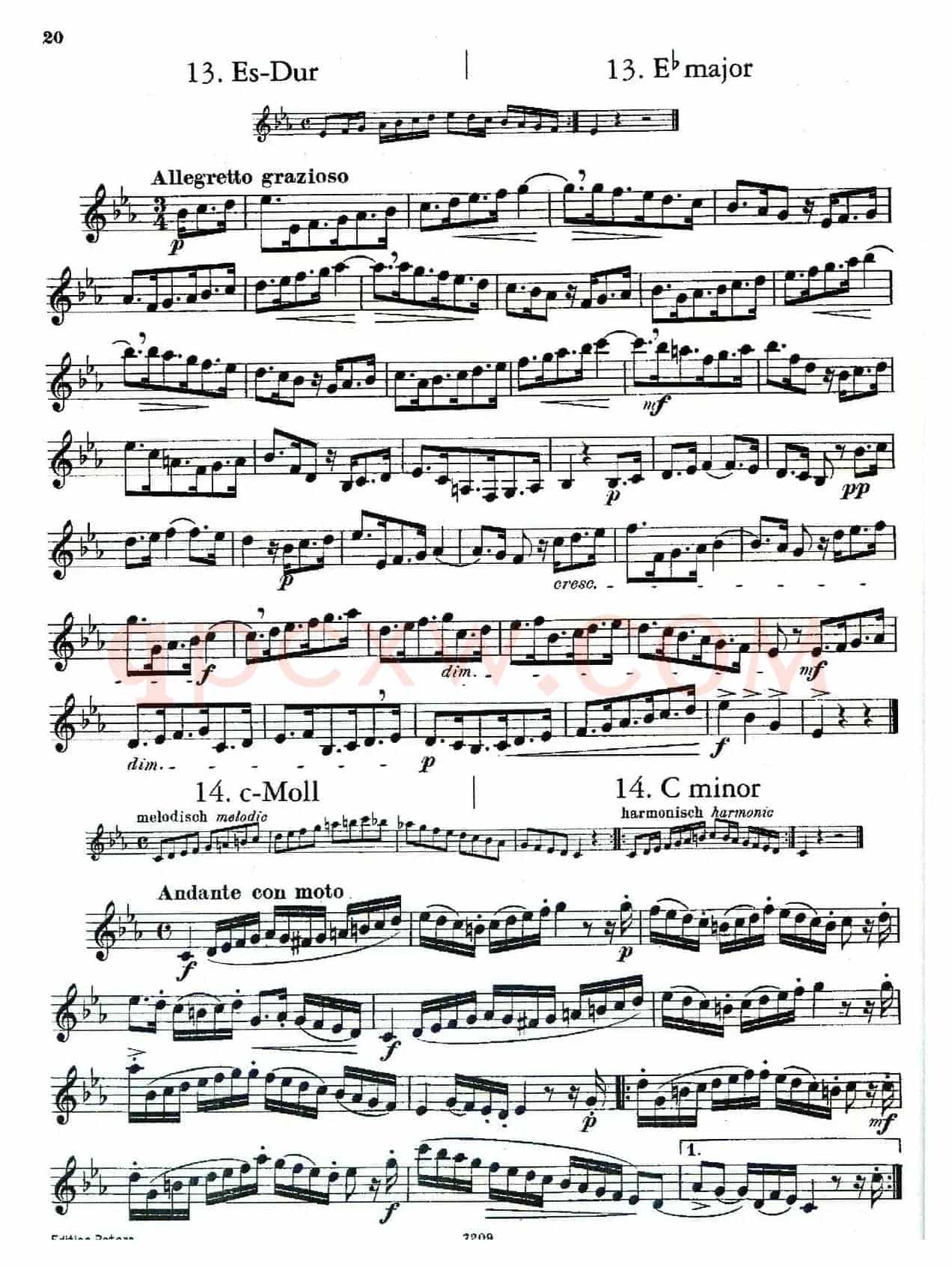 DEMNITZ（单簧管练习曲）