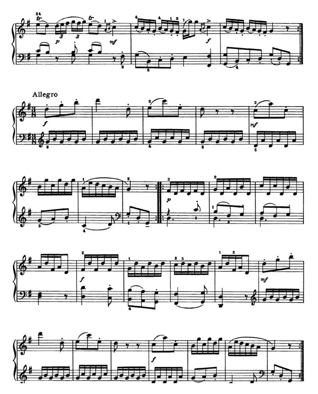 海顿 钢琴奏鸣曲 Hob XVI 8 Divertimento G major