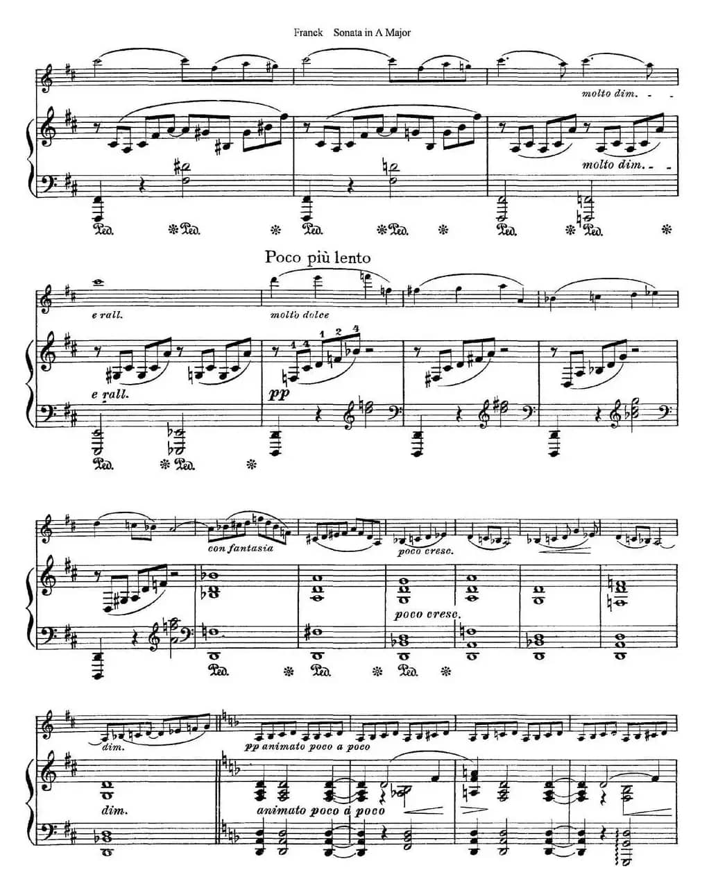 Franck Sonata in A Major（小提琴+钢琴伴奏）