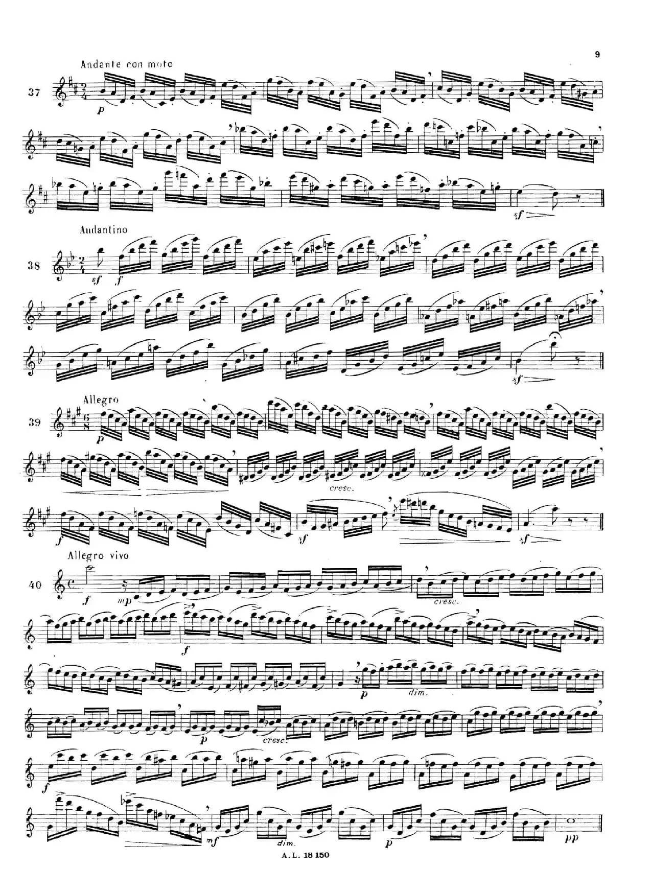 简易练习曲100首