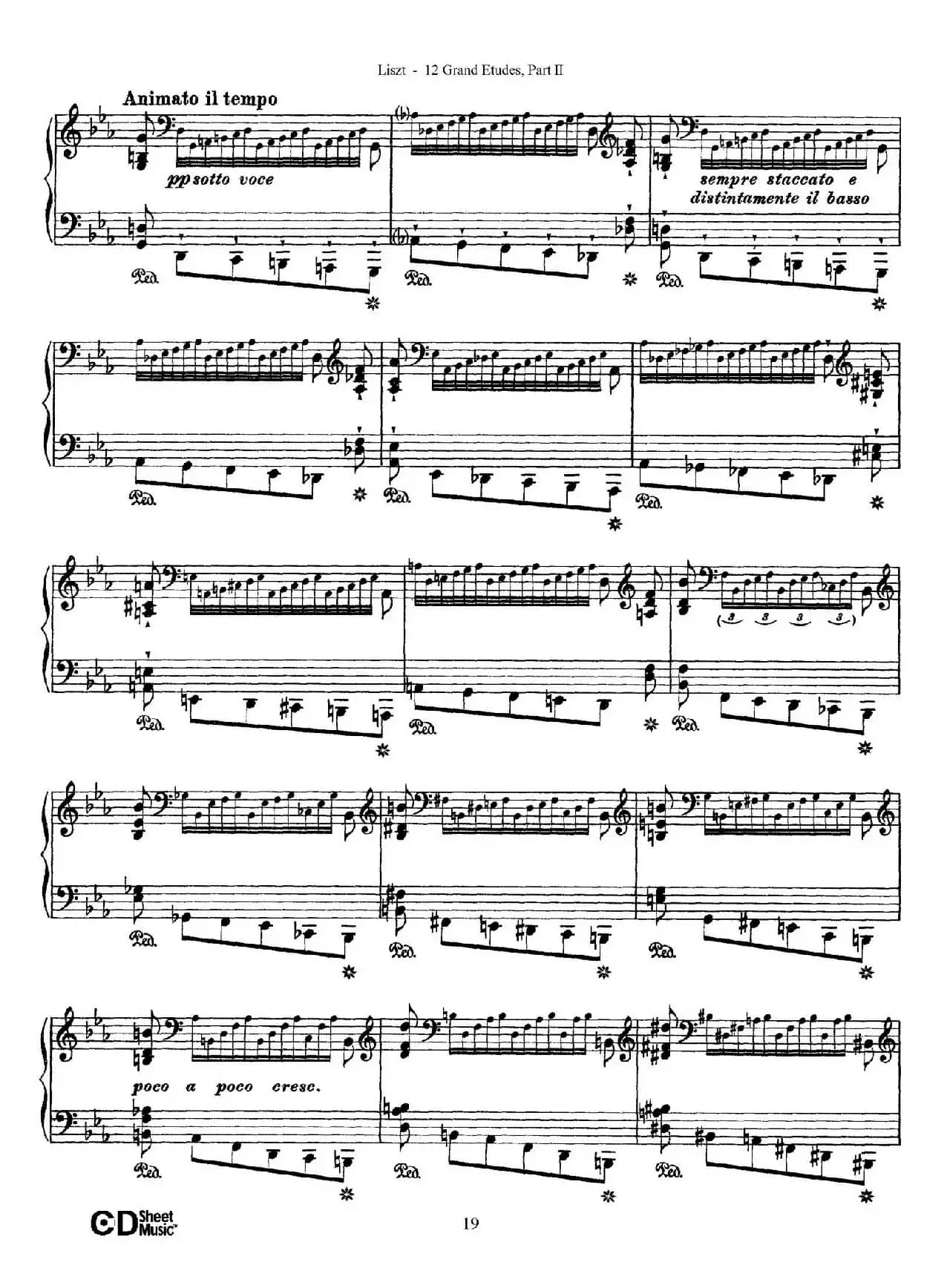12 Grand Etudes S.137（12首华丽的练习曲·8）