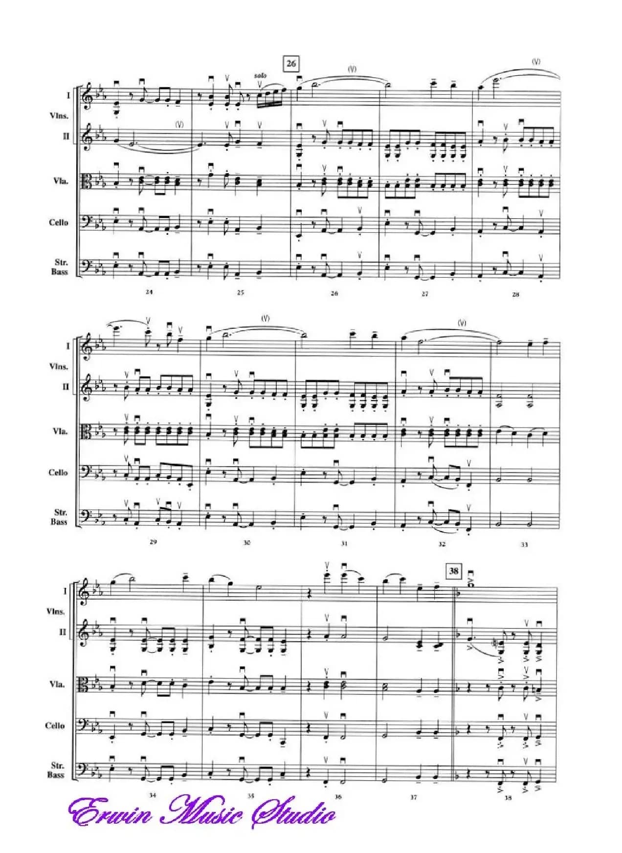 The Magnificent Seven（弦乐五重奏）