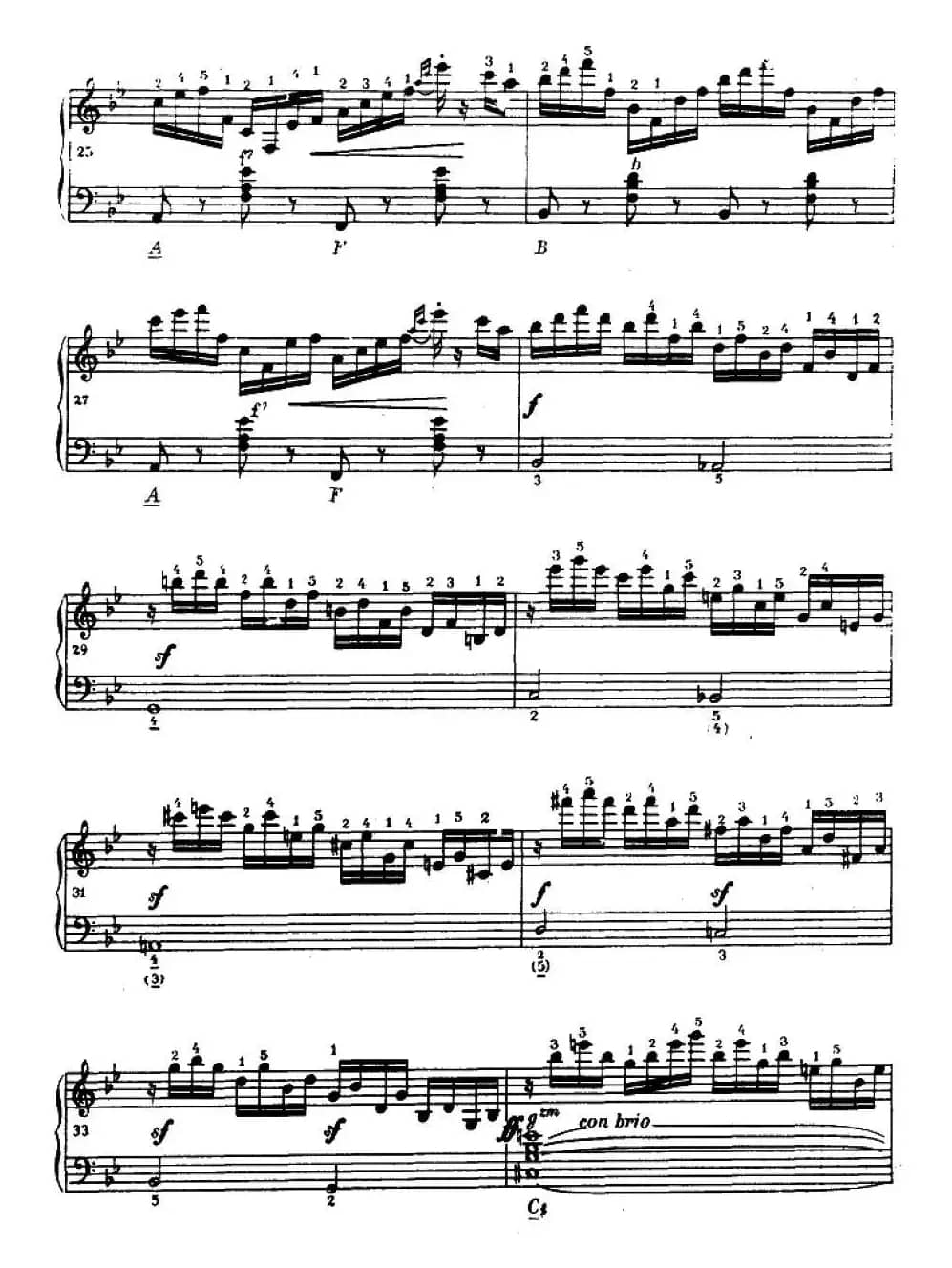 手风琴练习曲（5）