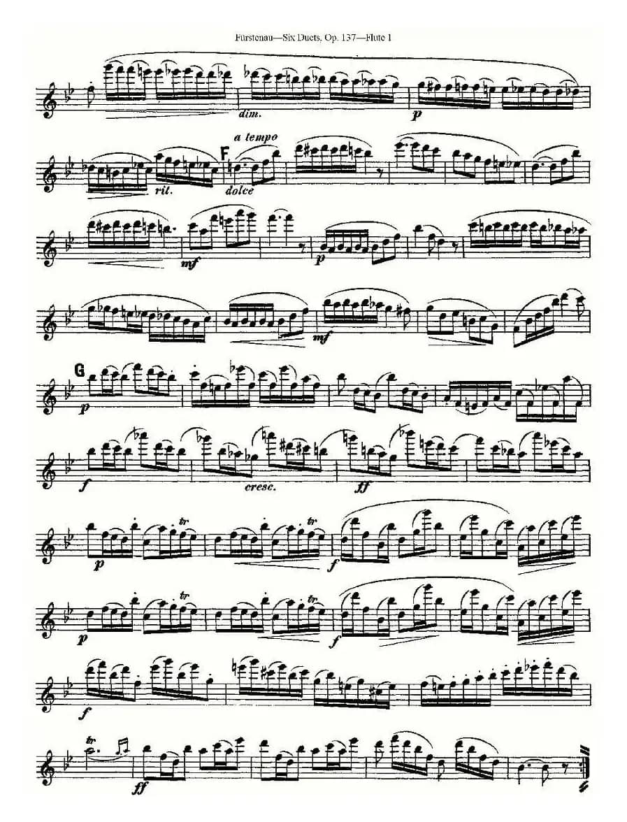 Six Duets, Op.137 之五（二重奏 六首作品 137号）