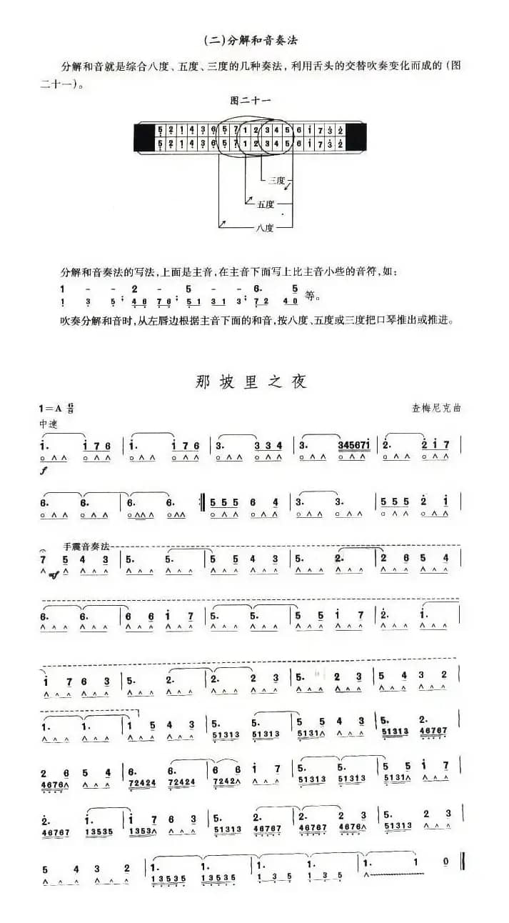 考级十级曲目：那坡里之夜