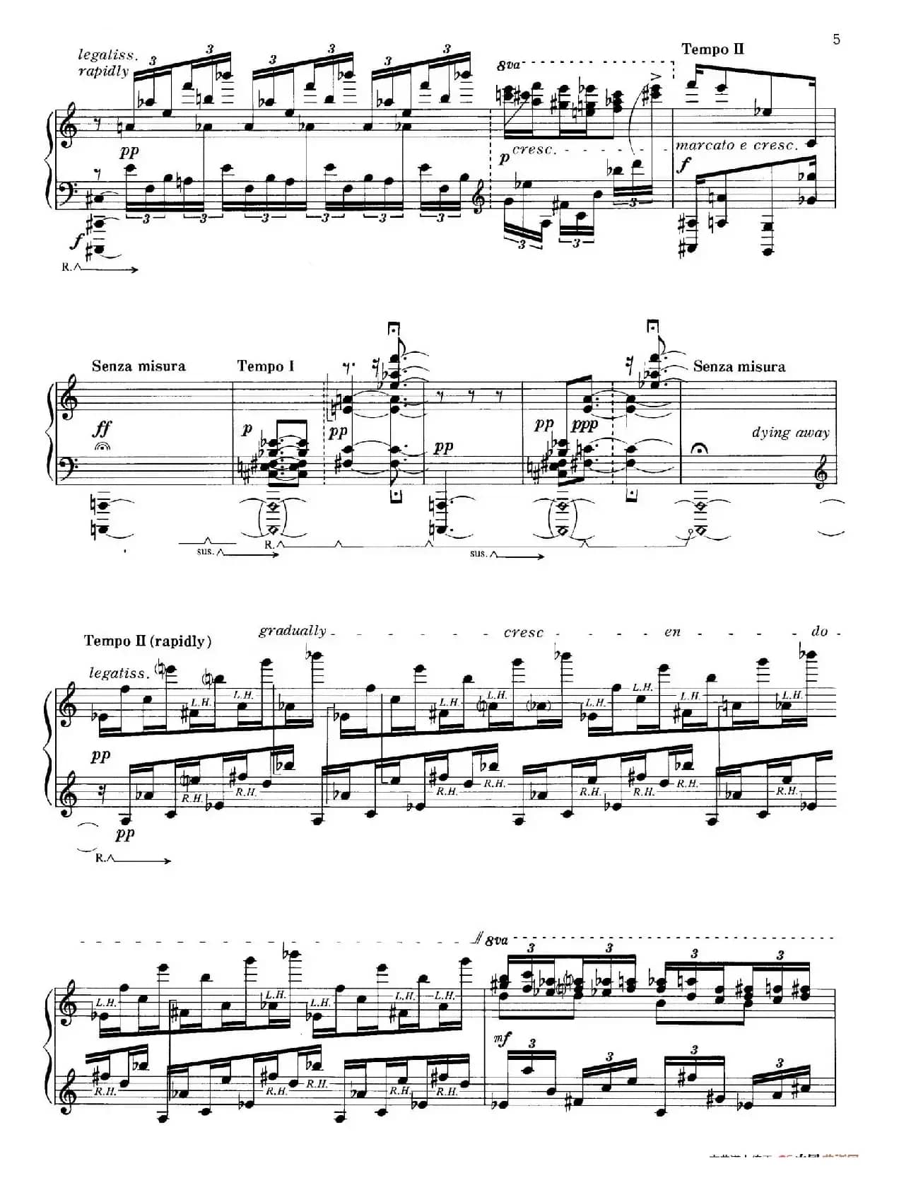 Rain Tree Sketch （雨树素描）