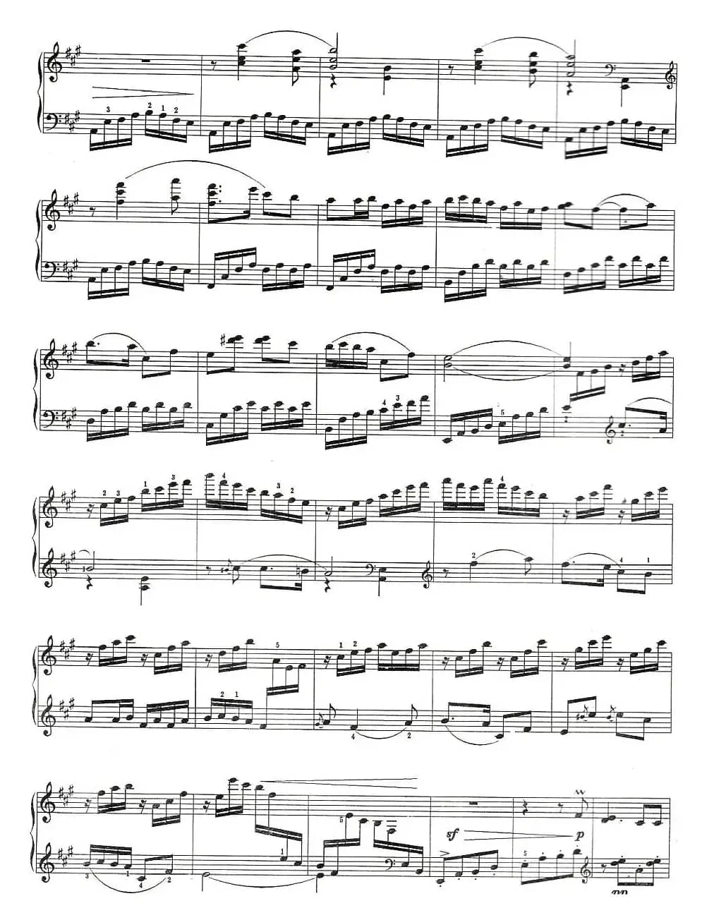 百鸟朝凤（扫描版）