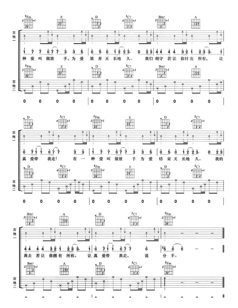 有一种爱叫做放手（双吉他）