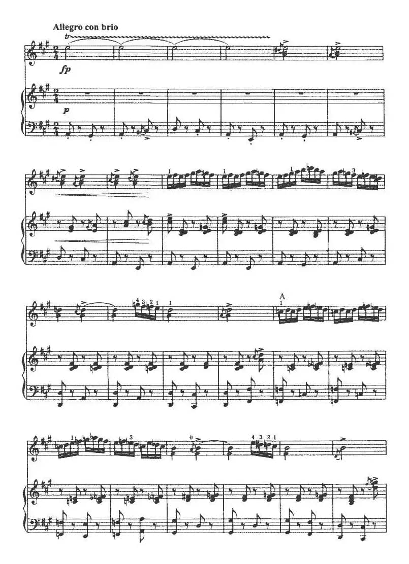 第三二胡狂想曲（二胡+钢琴伴奏）