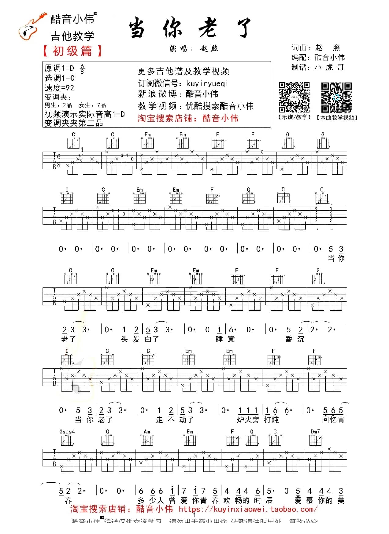 当你老了（赵照词曲、酷音小伟编配版）