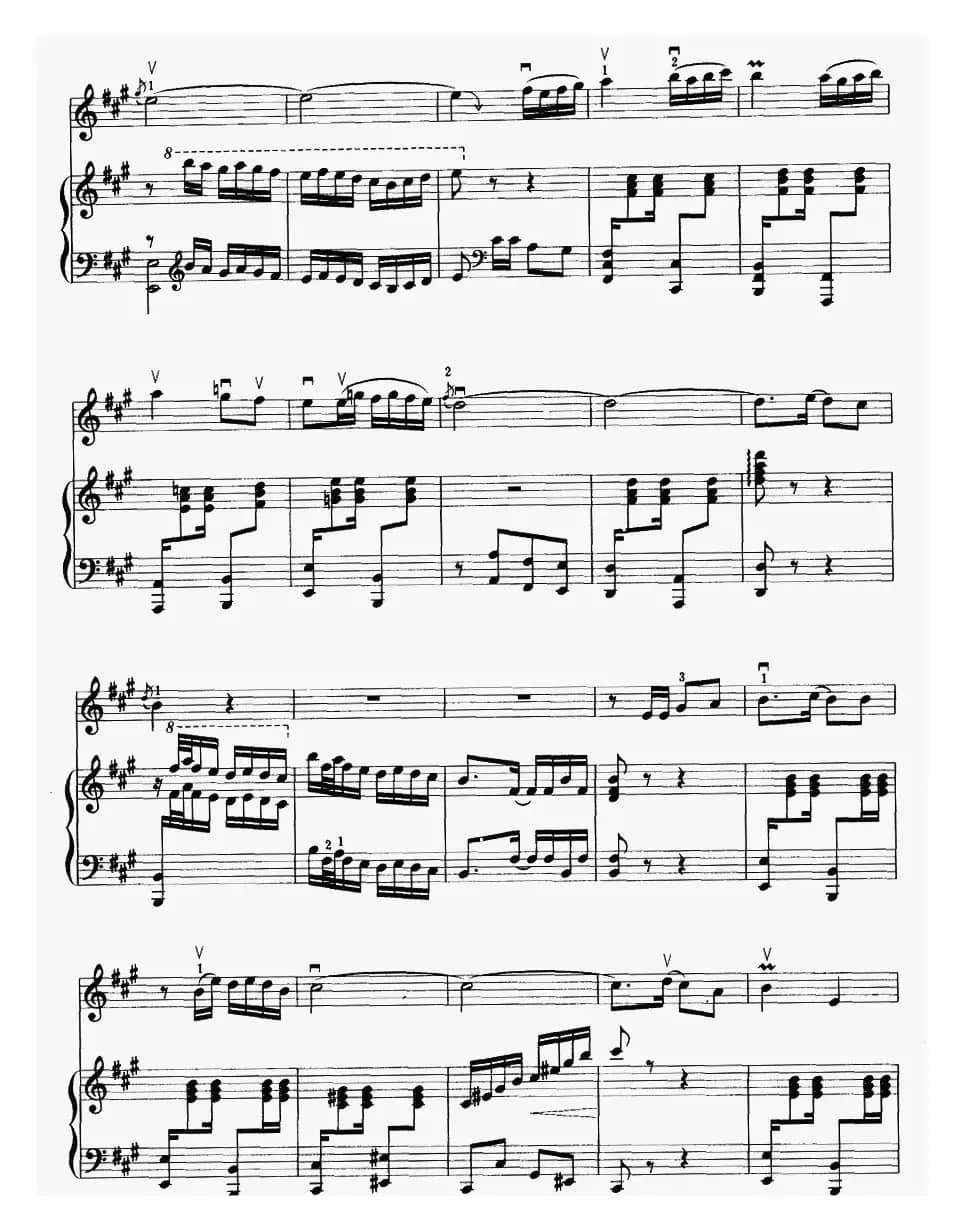 葡萄熟了（二胡+钢琴伴奏）