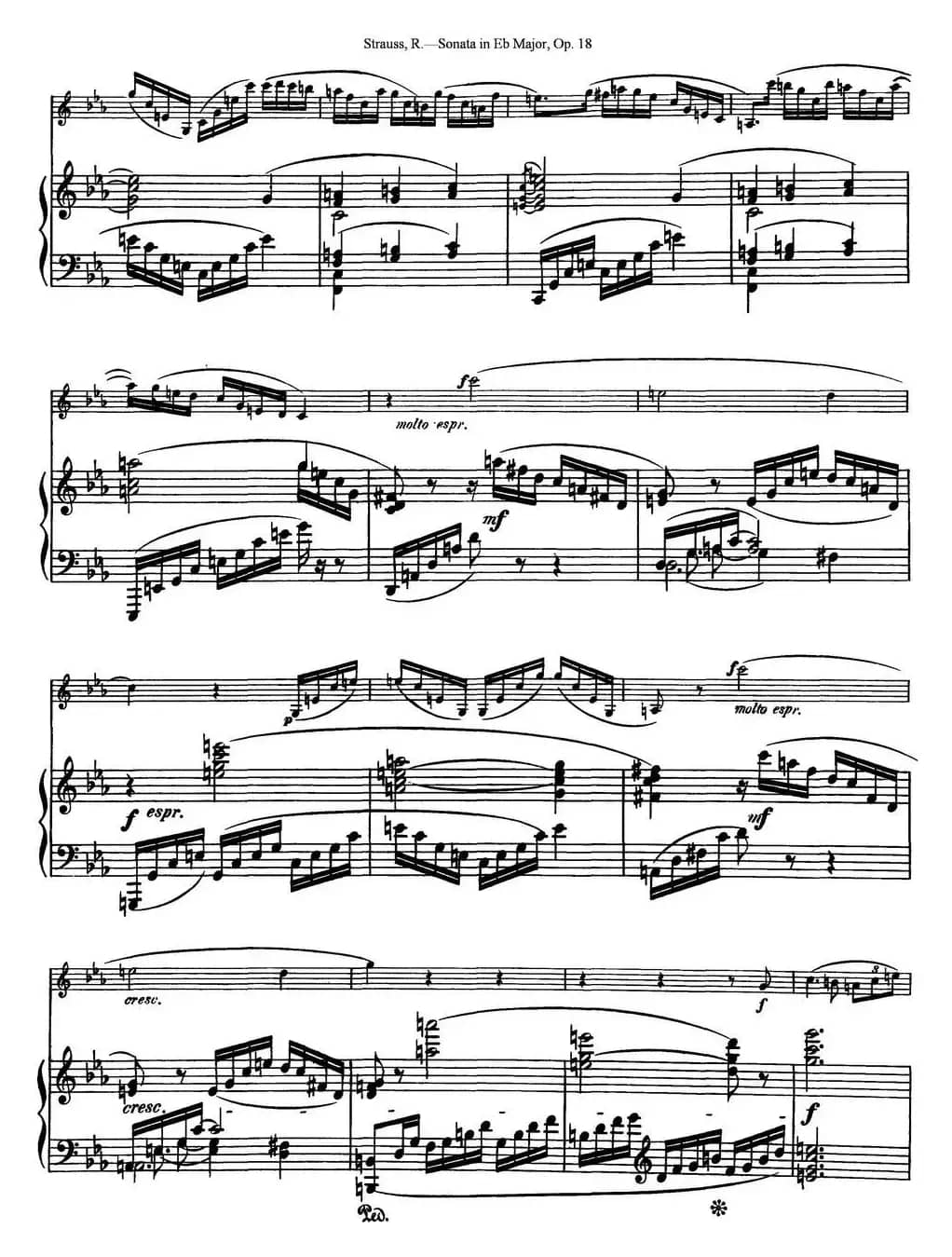 Violin Sonata in Eb Major Op.18（小提琴+钢琴伴奏）