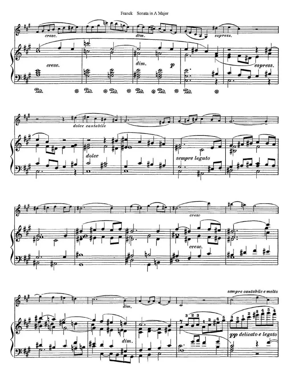 Franck Sonata in A Major（小提琴+钢琴伴奏）