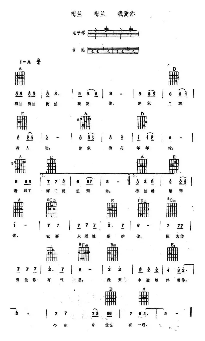 梅兰 梅兰 我爱你（电子琴吉他弹唱）