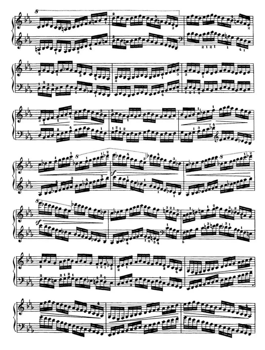 50首车尔尼Op.740钢琴手指灵巧技术练习曲（NO.5）