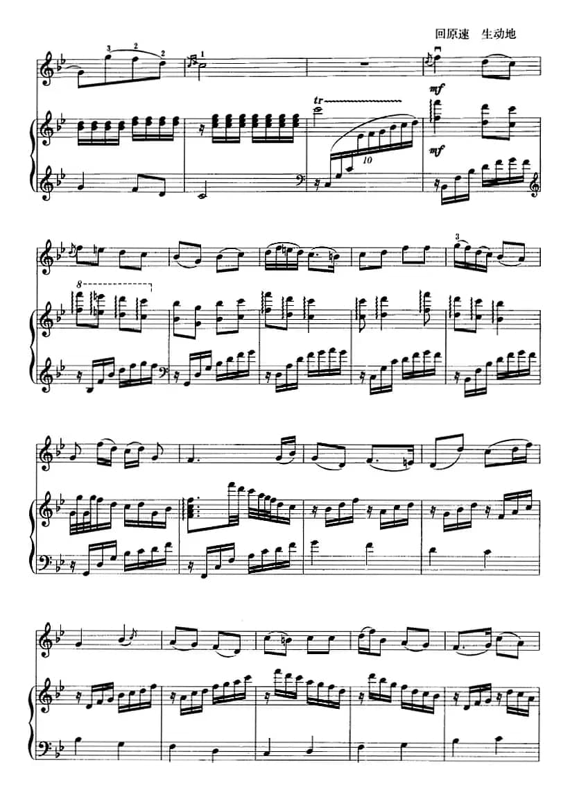 三门峡畅想曲（二胡+钢琴伴奏）