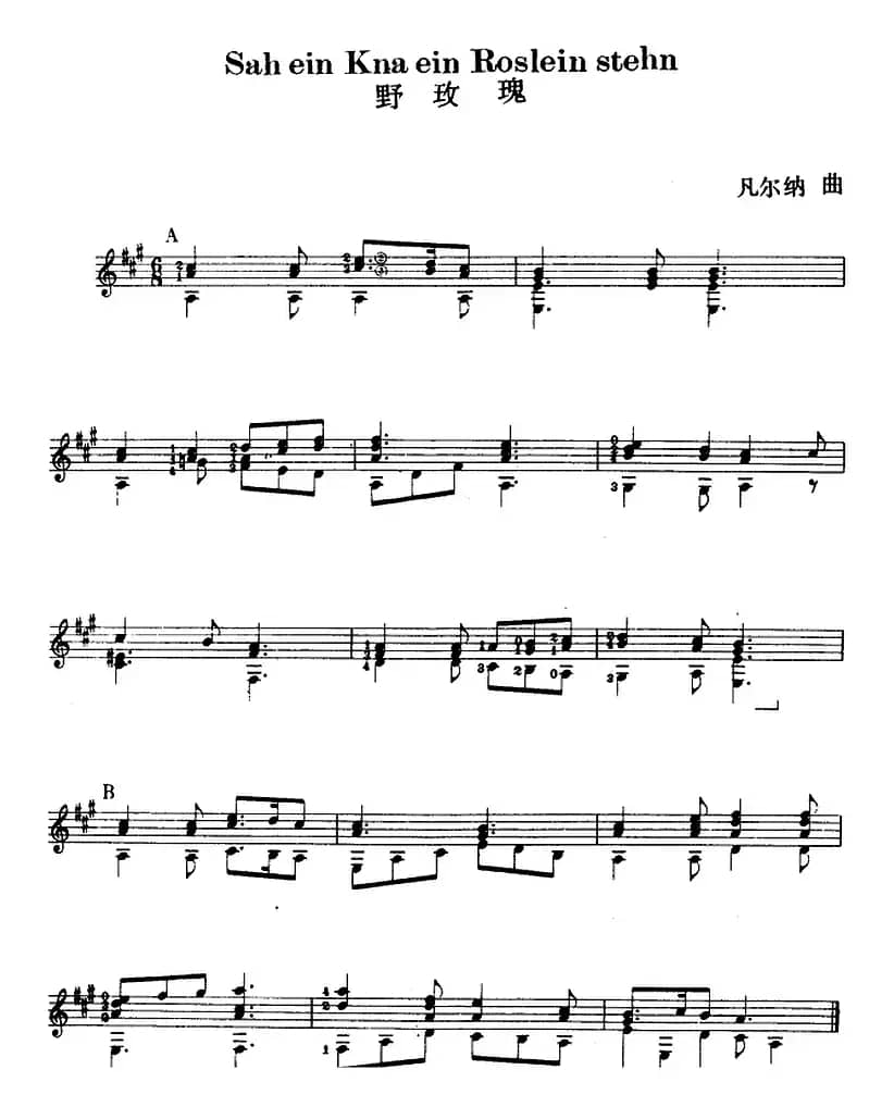 西班牙吉他独奏曲：野玫瑰