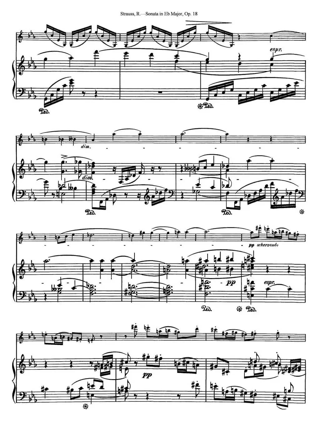 Violin Sonata in Eb Major Op.18（小提琴+钢琴伴奏）