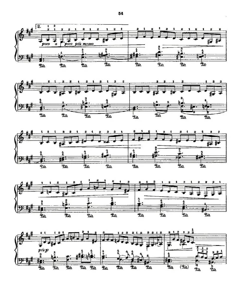 肖邦《练习曲》Fr.Chopin Op.25 No2-4